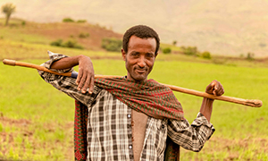 300x180_cgiar_2