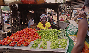 Transforming Food Systems After COVID-19: European Commission Discussion of IFPRI’s 2021 Global Food Policy Report