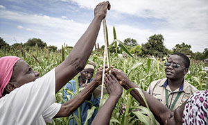 event_022420_ifpri_events_page