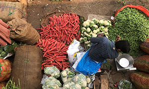 ifpri_events_page