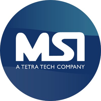 Management Systems International (MSI)