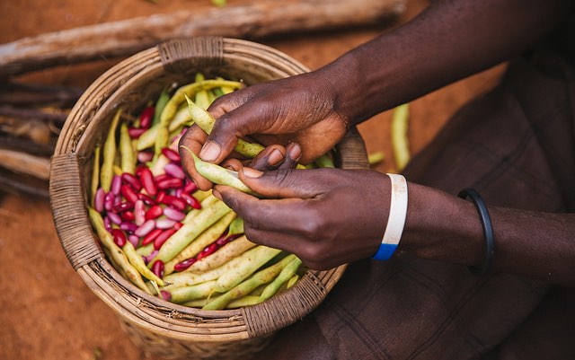 malawi_bowl