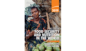 sofi2019_book_en_web-1