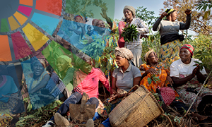 Bold actions for gender equality and women’s empowerment in food systems
