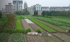 09-24_china_event_page