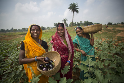 food_systems