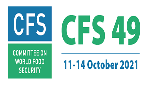 cfs_49_300x180