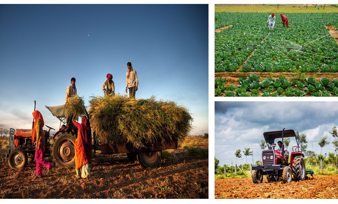 IFPRI-Indian Council of Agricultural Research (ICAR)