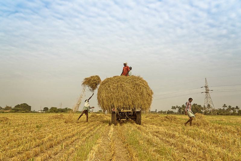farm_india