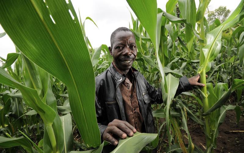 How to encourage farmers to adopt sustainable agriculture