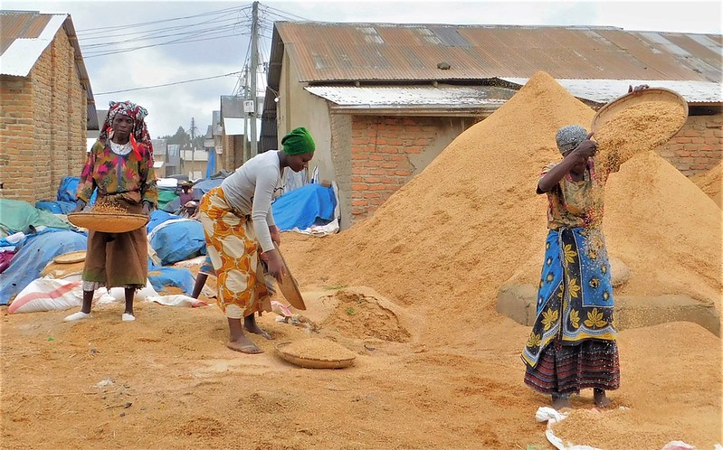 tanzania_sift