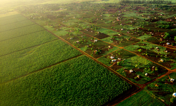 Southern Africa-Towards Inclusive Economic Development (SA-TIED)