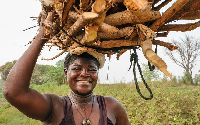 ghana_wood