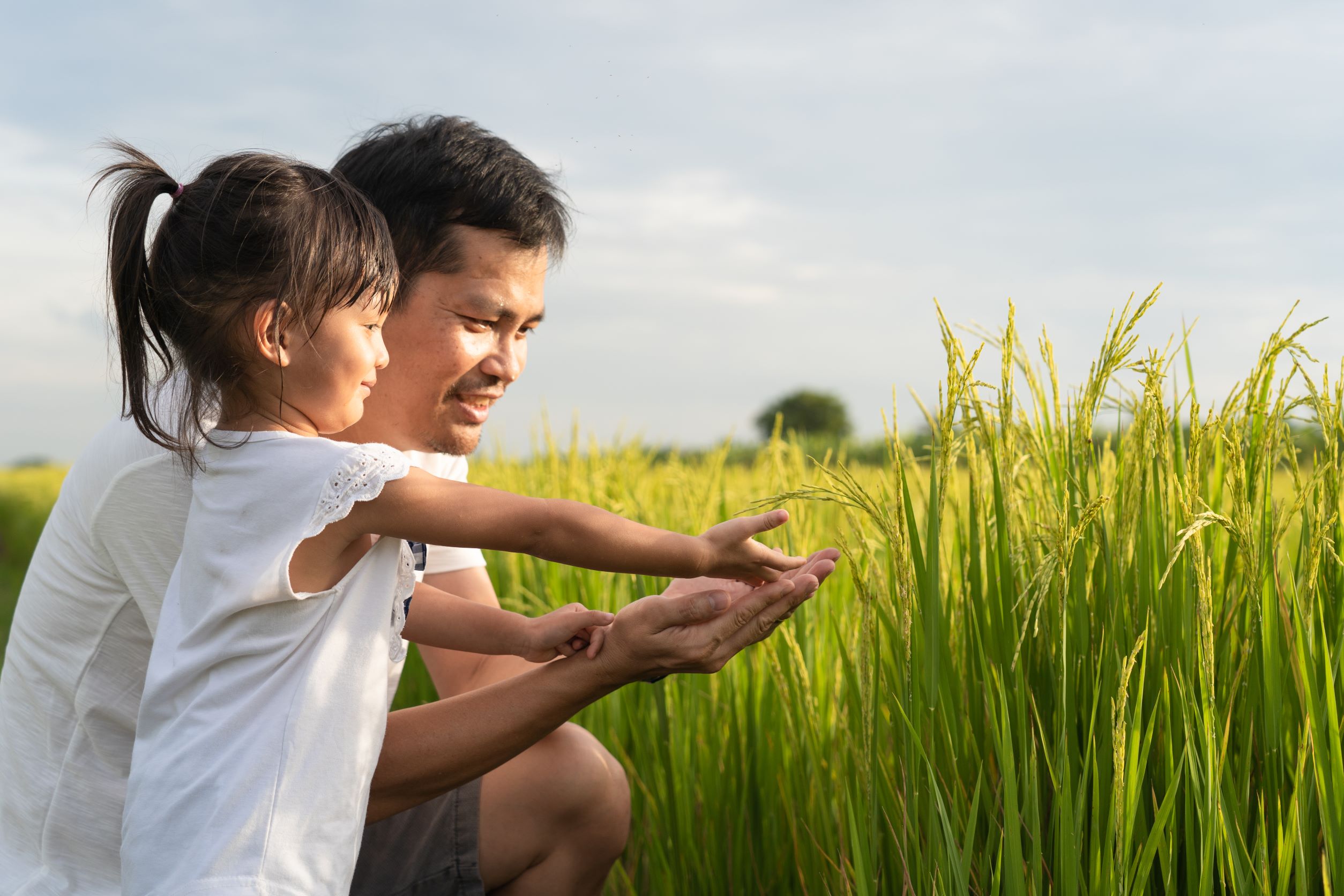 Prioritizing agricultural investments for income, poverty reduction, and nutrition