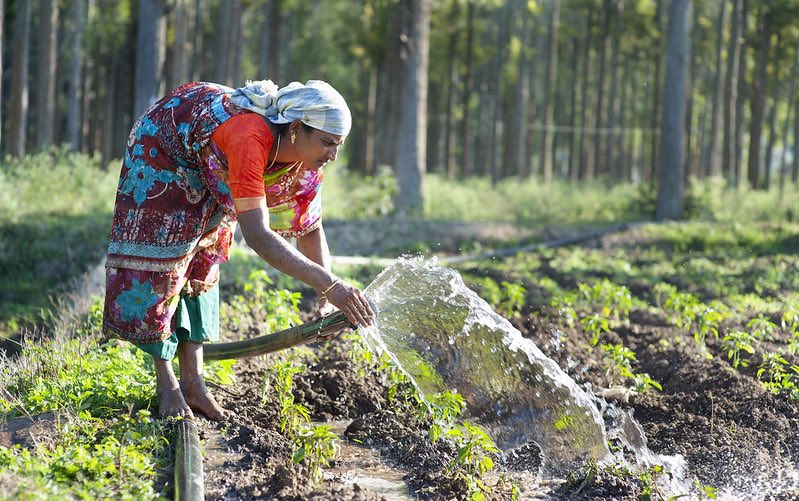 A behavioral perspective on improving water governance in India