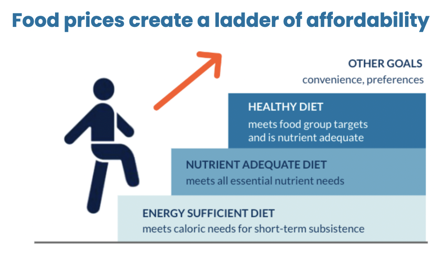 Policy seminars: As global food prices rise, important new data addresses the affordability of healthy diets