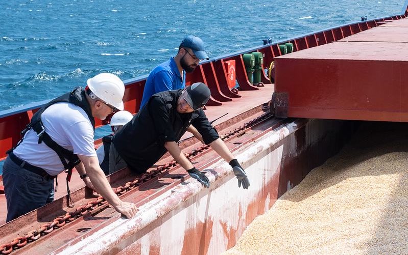 Inspectors examine grain in a ship's hold
