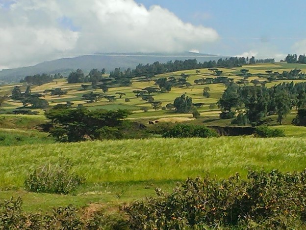 ethioAgTransfm