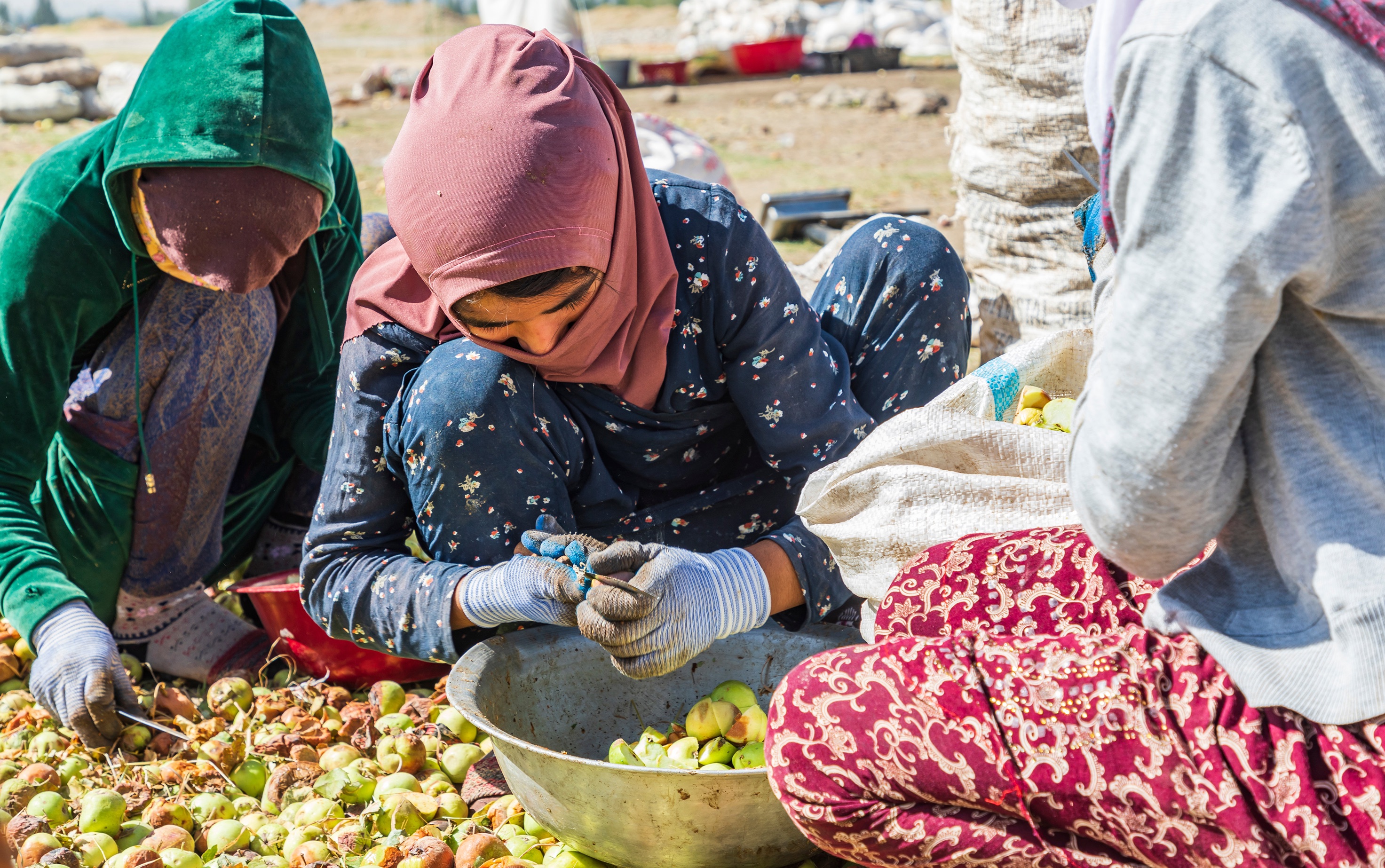 three women sitting on the ground with bowl and pears