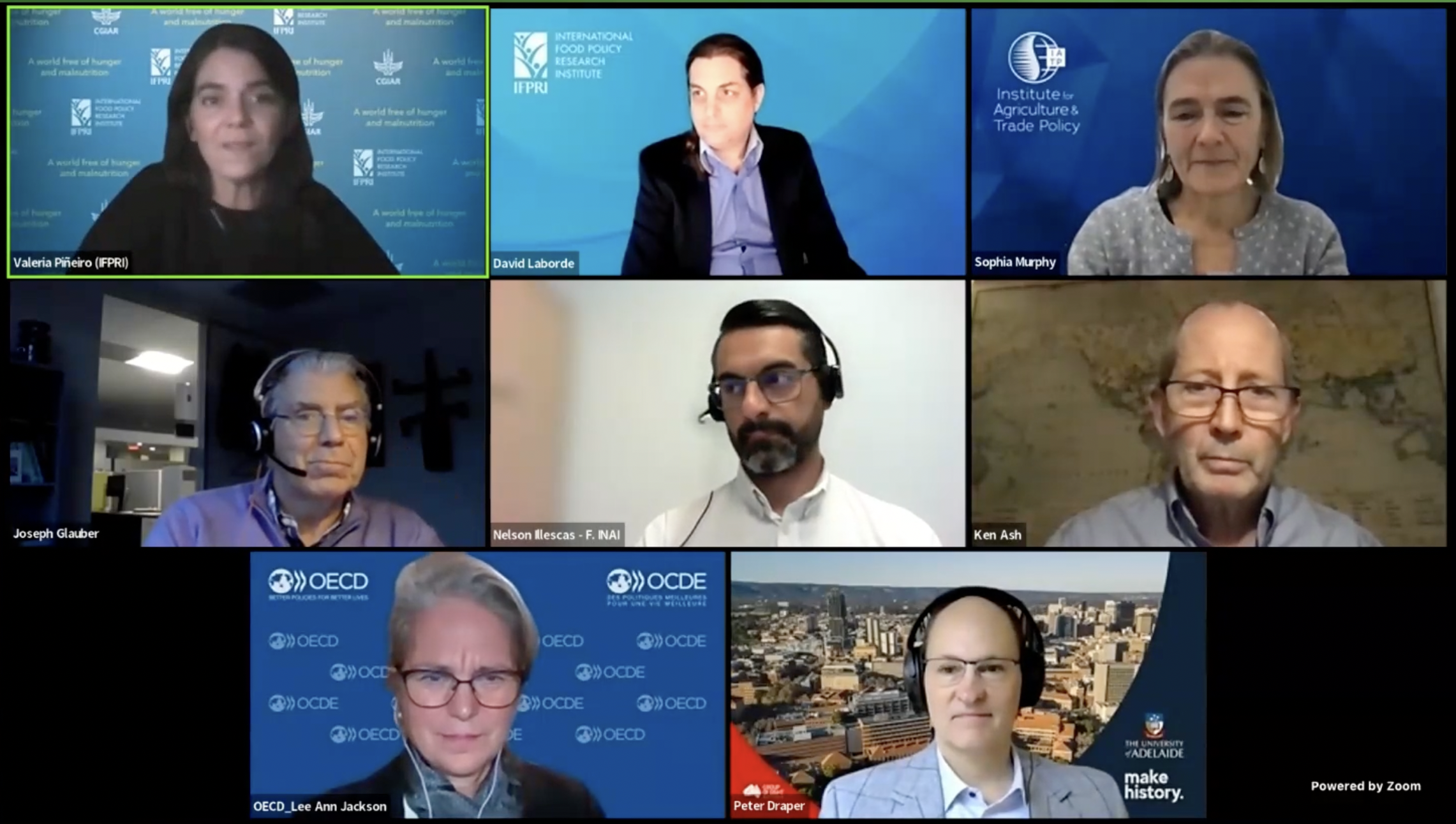 Participants in Zoom meeting