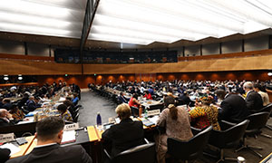 Farm Subsidies and International Trade Rules