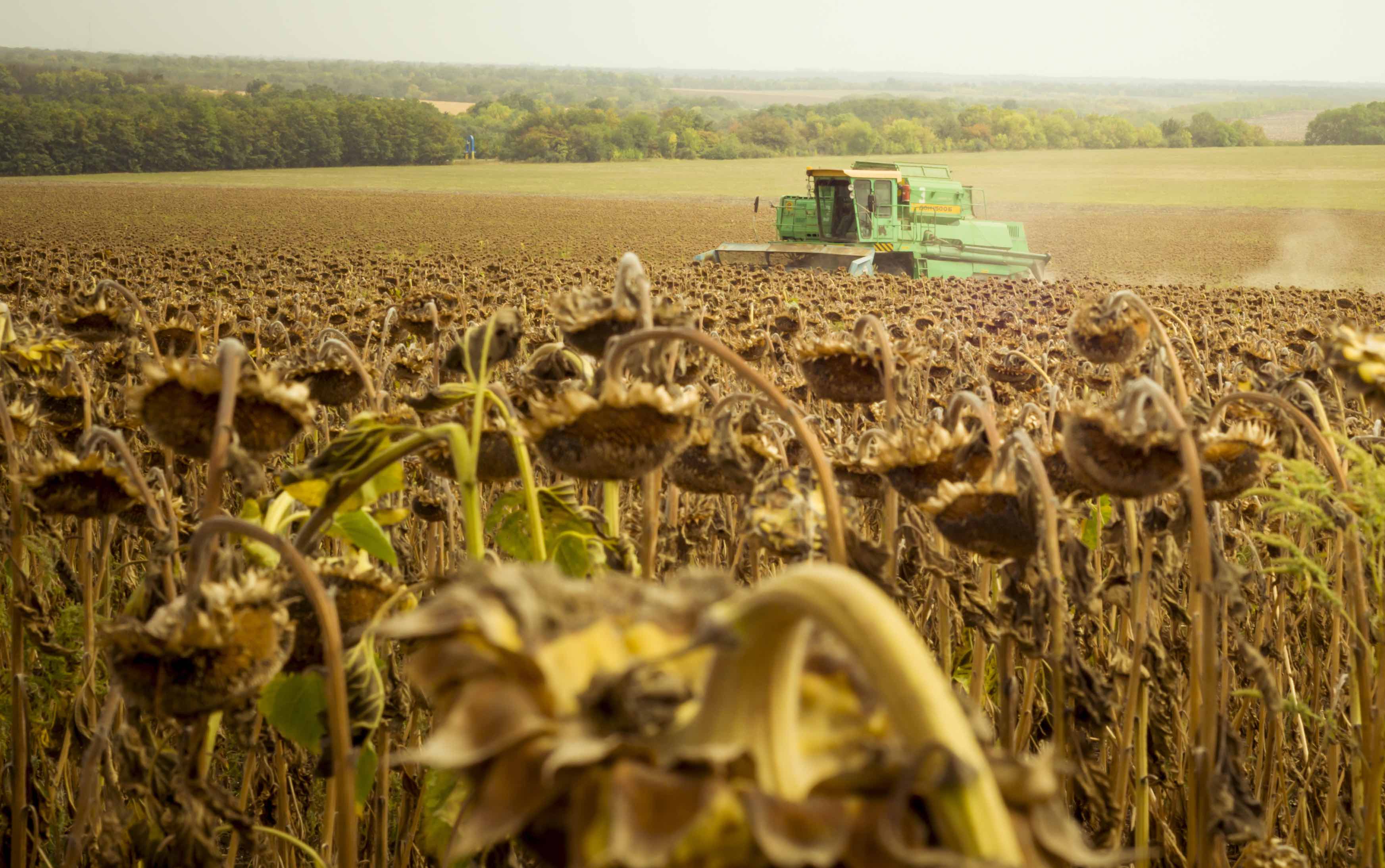 Eastern European farmers protest gluts of Ukraine food exports: The struggle to keep solidarity lanes open