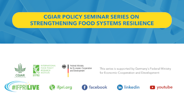 cgiar-bmz-seminar-events-featured-379x227