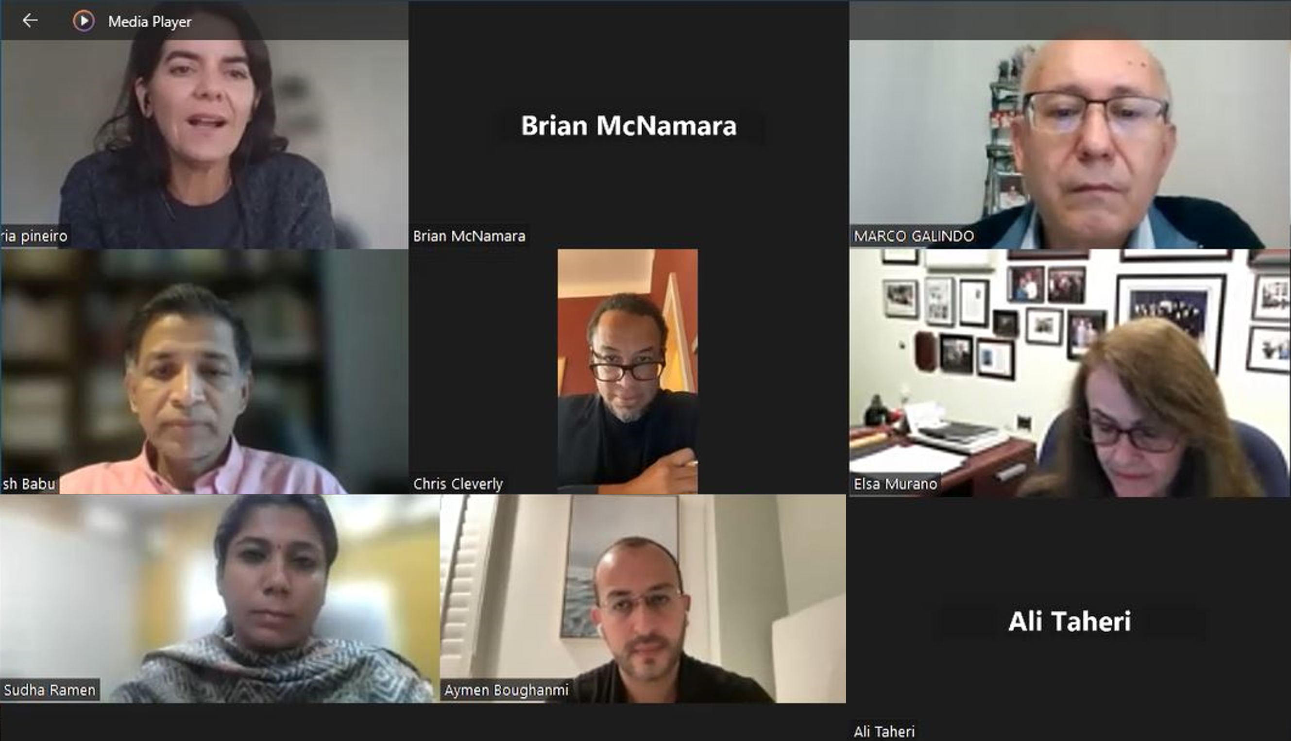 Participants in Zoom meeting