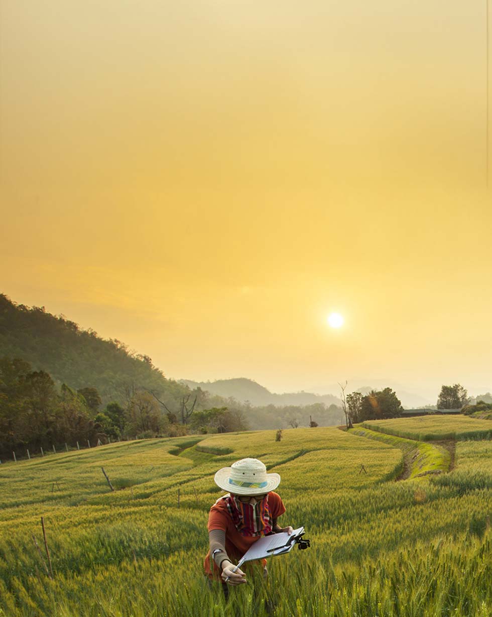 field