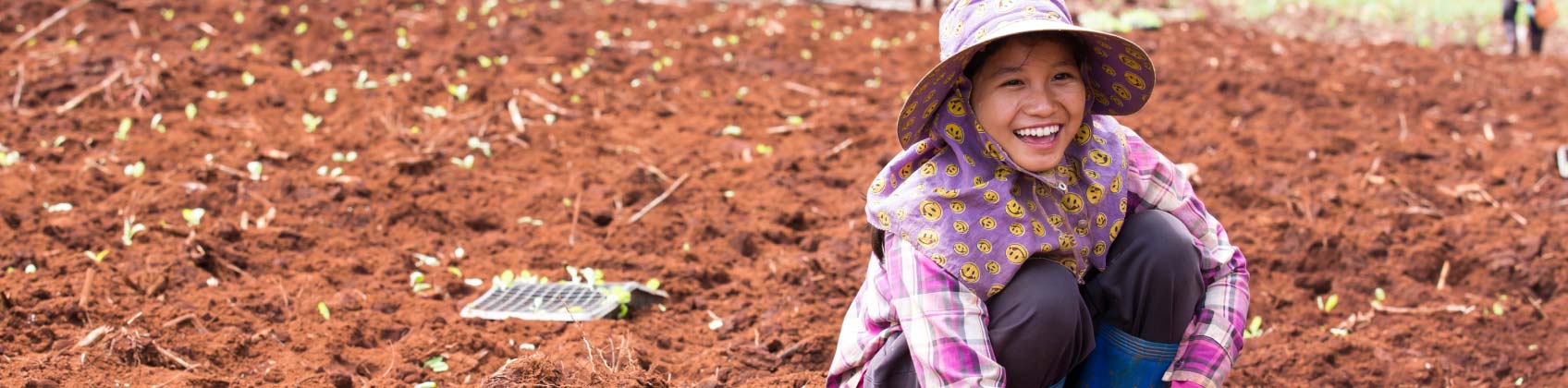 IFPRI projects