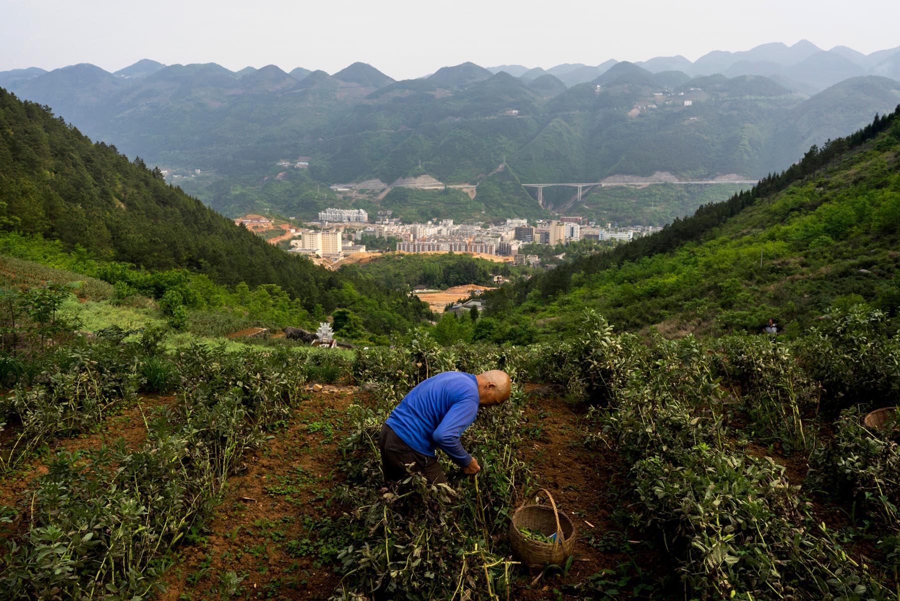 Wuxi, the fast growing city that was formerly known as White Horse Village.