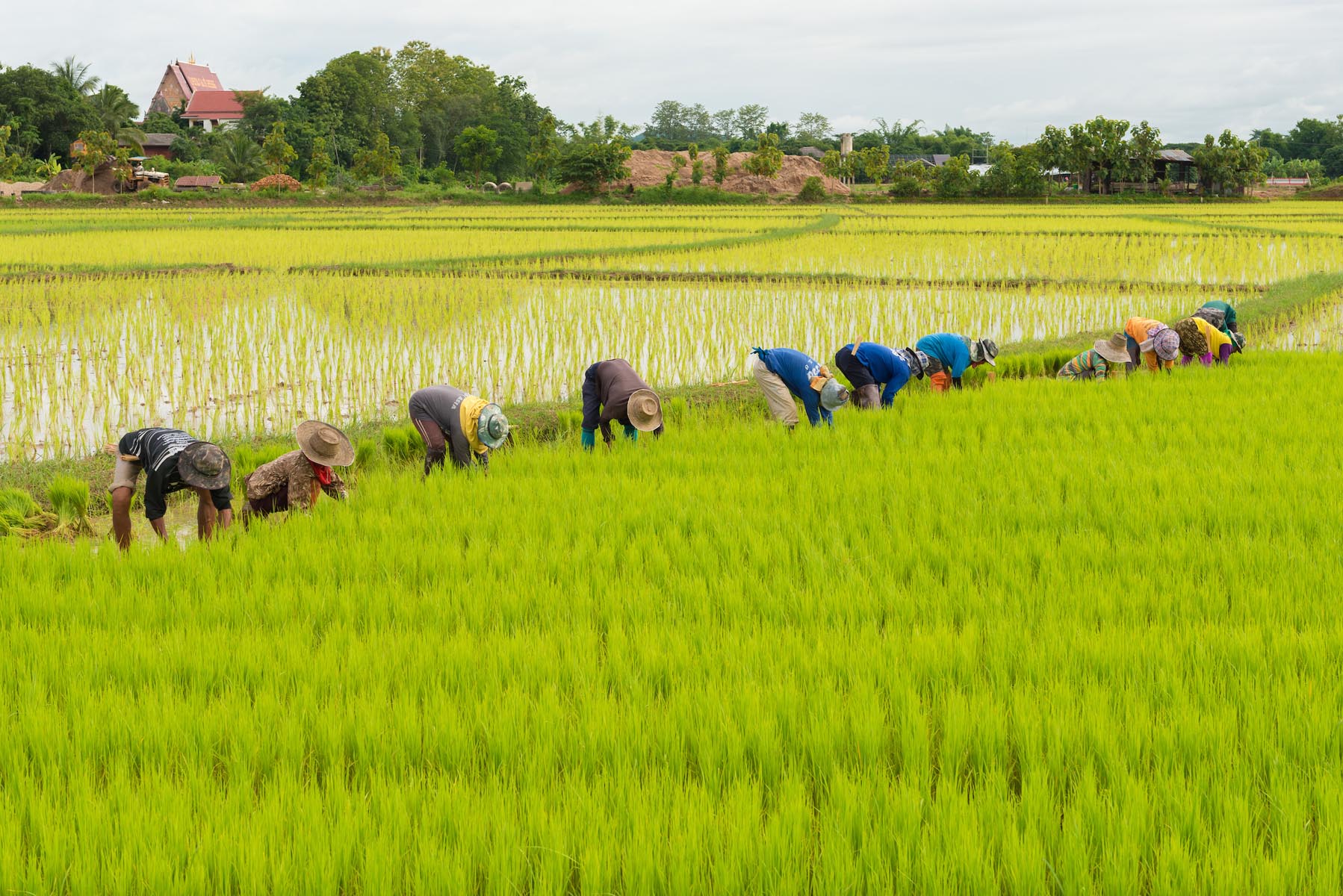 Country program Myanmar