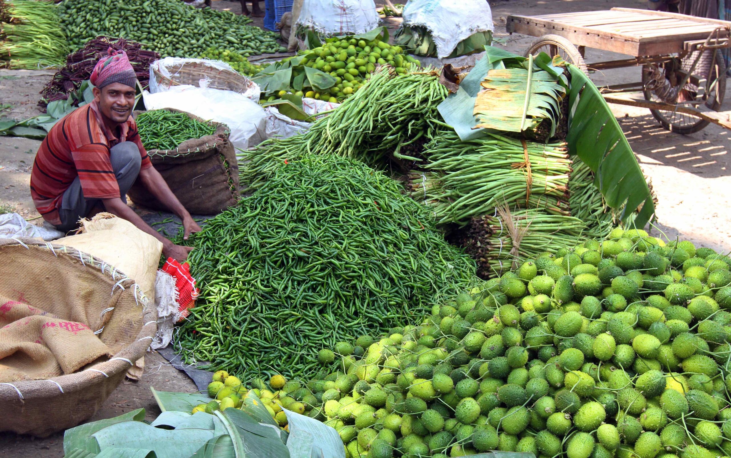 Webinar: Lessons from Feed the Future country studies on the drivers of agrifood system transformation