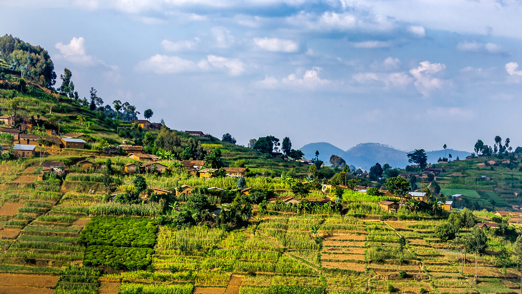 IFPRI Year in Review 2024 and Priorities for 2025