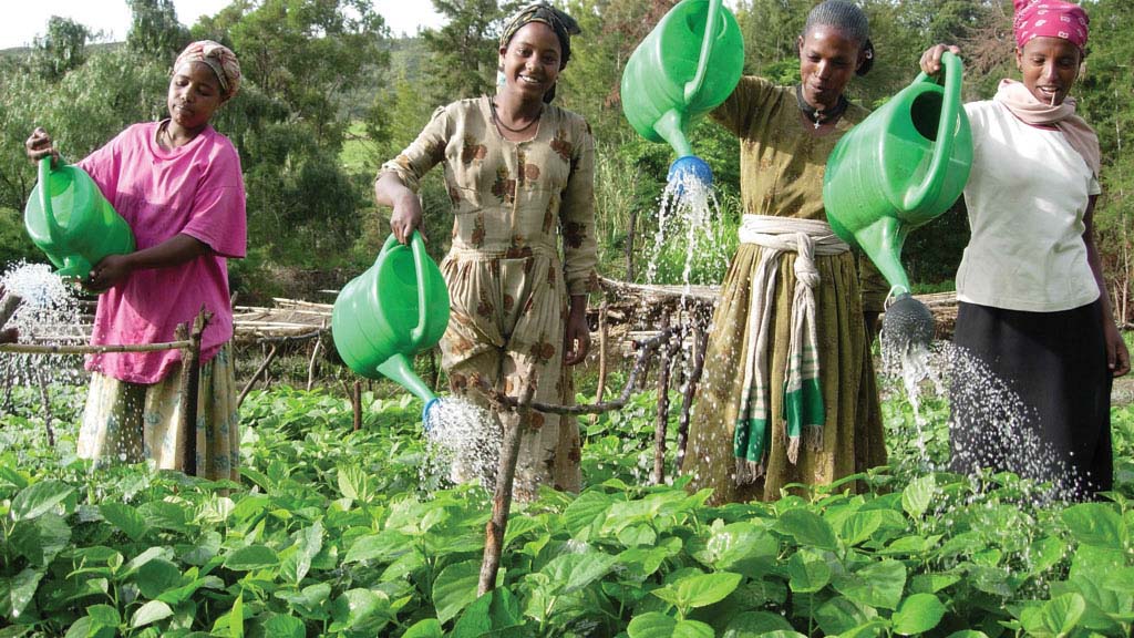 Learning Support for a Sub-Saharan Africa Multi-Country Climate Resilience Programme for Food Security