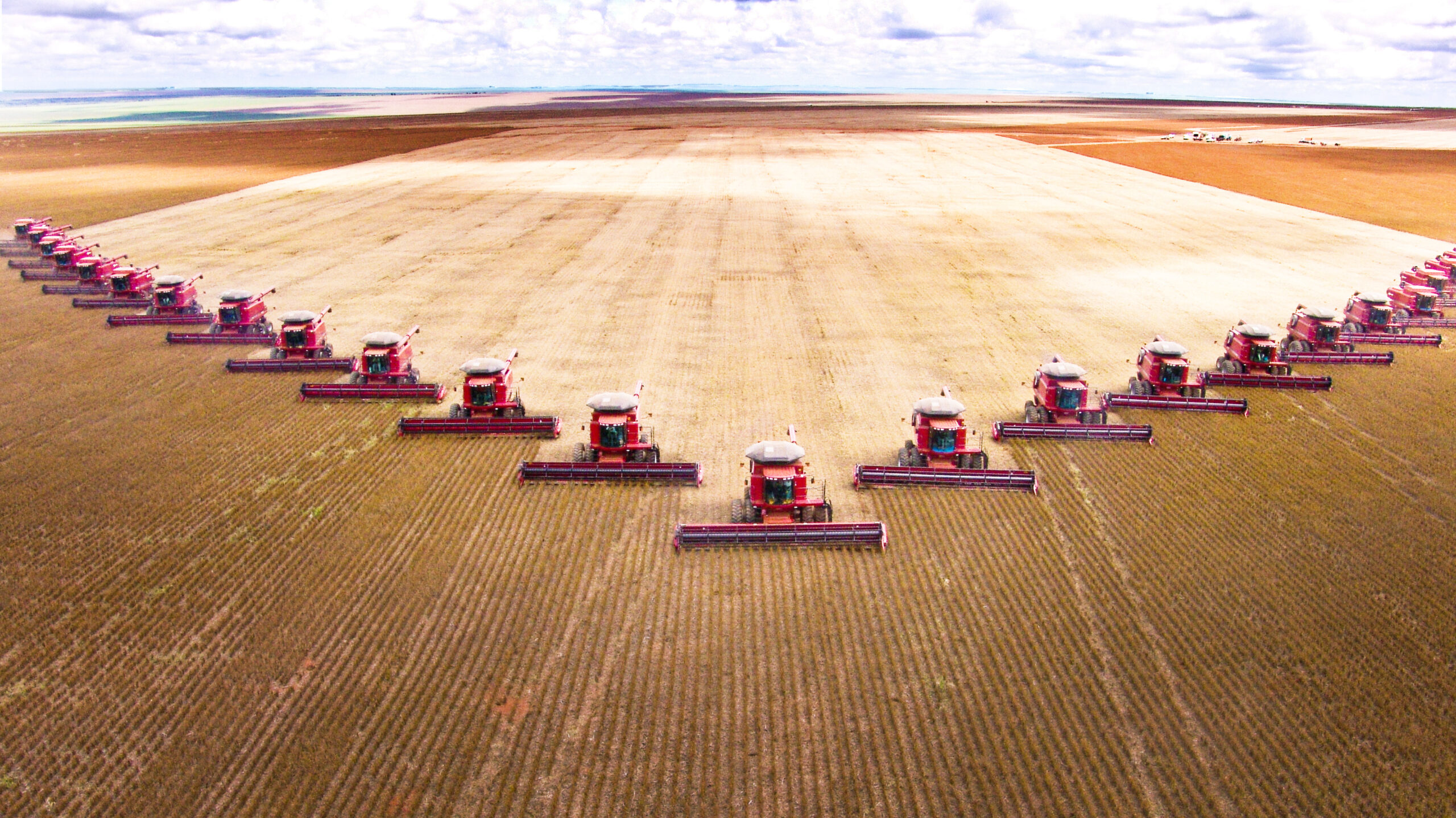 U.S.-China trade war 2.0: What are the implications for global oilseed markets?