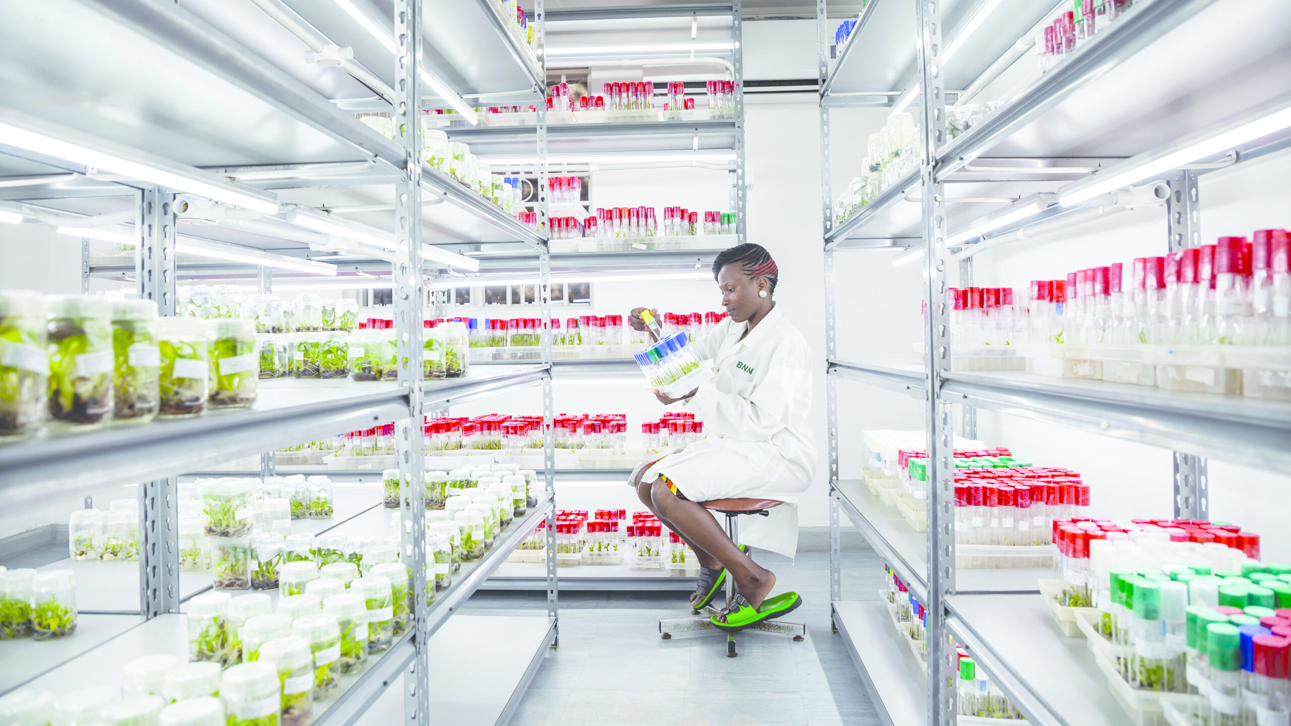 Woman in white lab coat sitting on stool holding test tubes with seedlings, surrounded by shelves with samples.