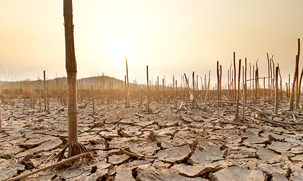 How vulnerable are economies to systemic risks? New approaches to assessing economic and climate-related shocks