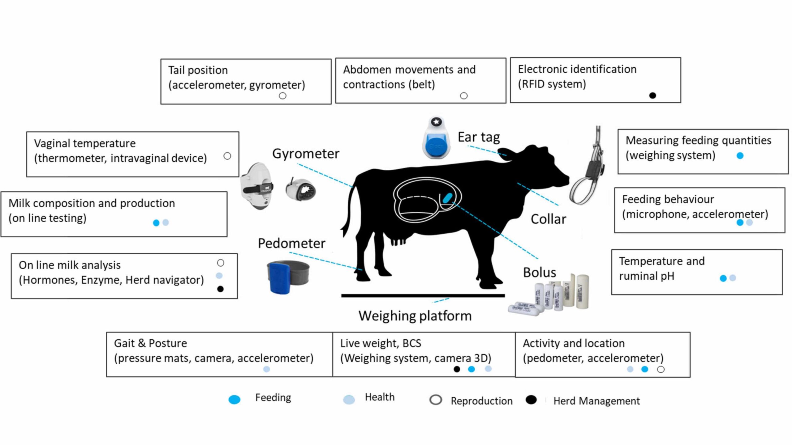 Diagram with image of cow at center showing types of data monitoring through ear tag, bolus, weighing platform, pedometer, gyrometer