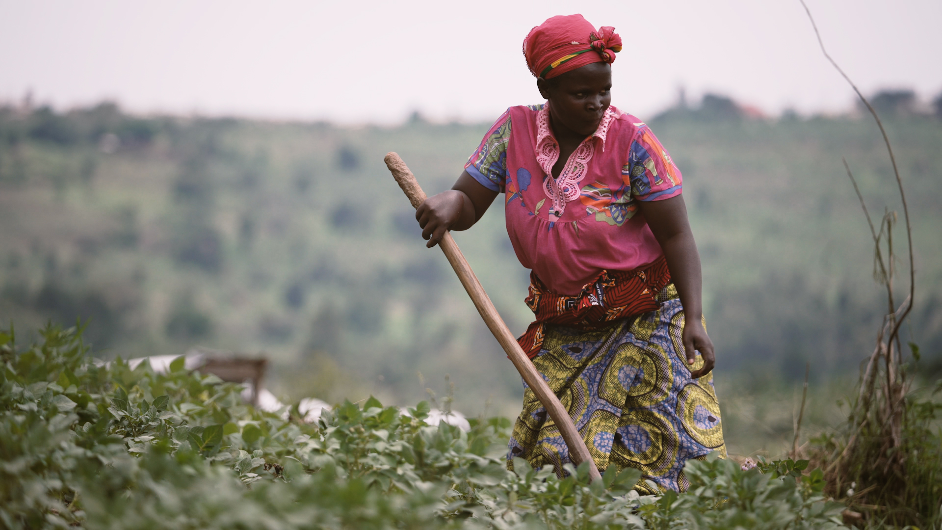 Woman holding hoe standing in field.