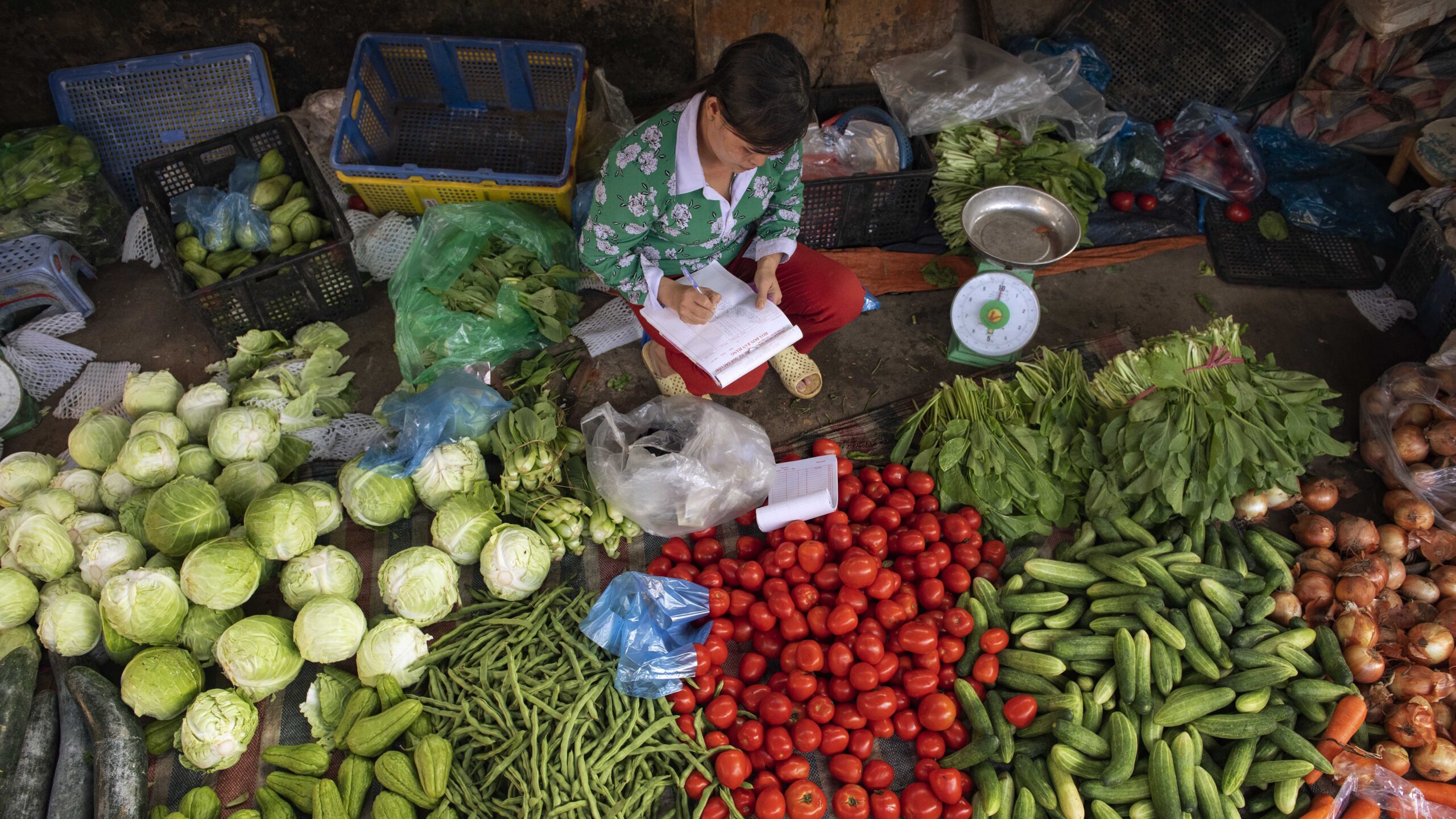 Woman, top center, sits on floor writing on note pad surrounded by cabbages, tomatoes, cucumbers and other vegetables.