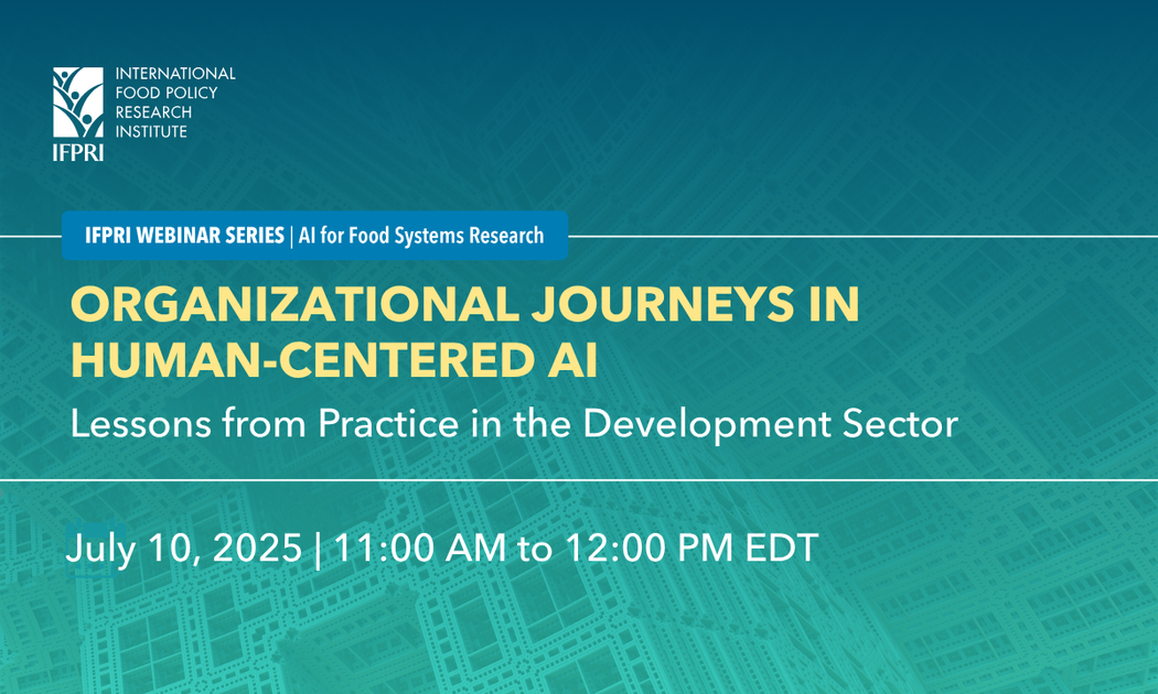 Organizational Journeys in Human-Centered AI: Lessons from Practice in the Development Sector