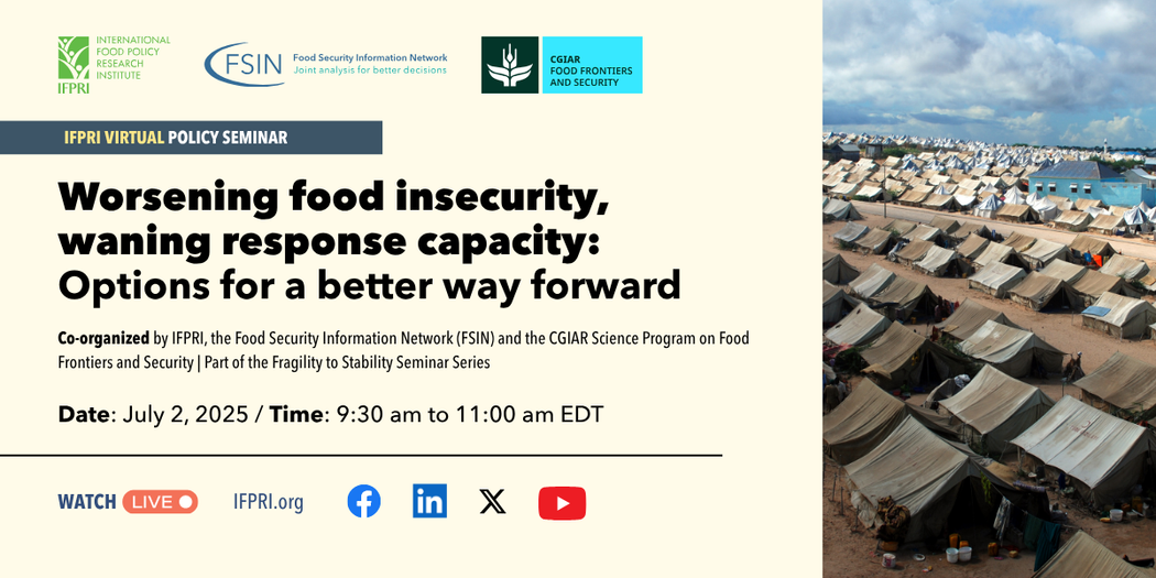 Worsening food insecurity, waning response capacity: Options for a better way forward