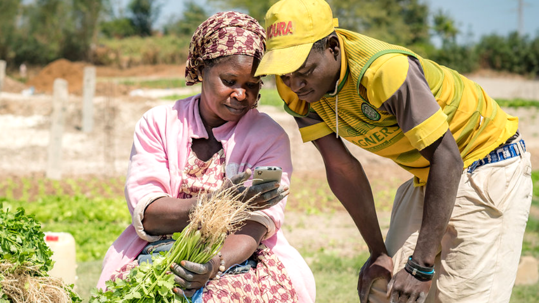 Four lessons for financial innovation in agrifood systems