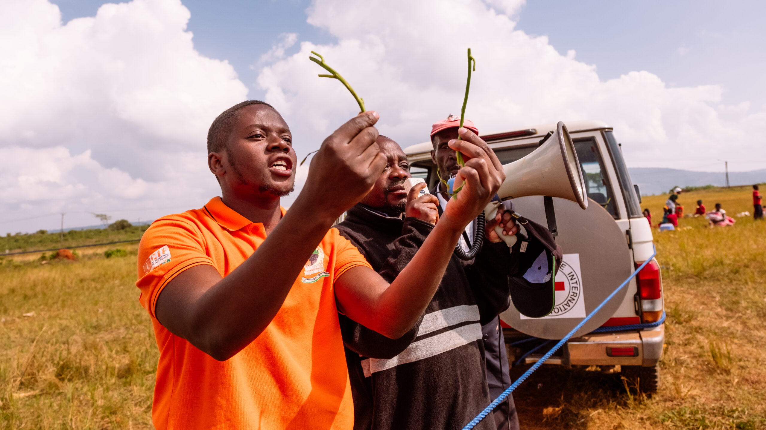 IFPRI and causal impact evaluation: Evidence for real-life policies