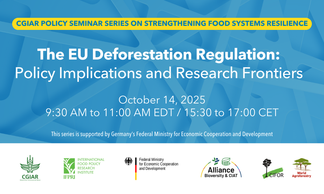 The EU Deforestation Regulation: Policy Implications and Research Frontiers