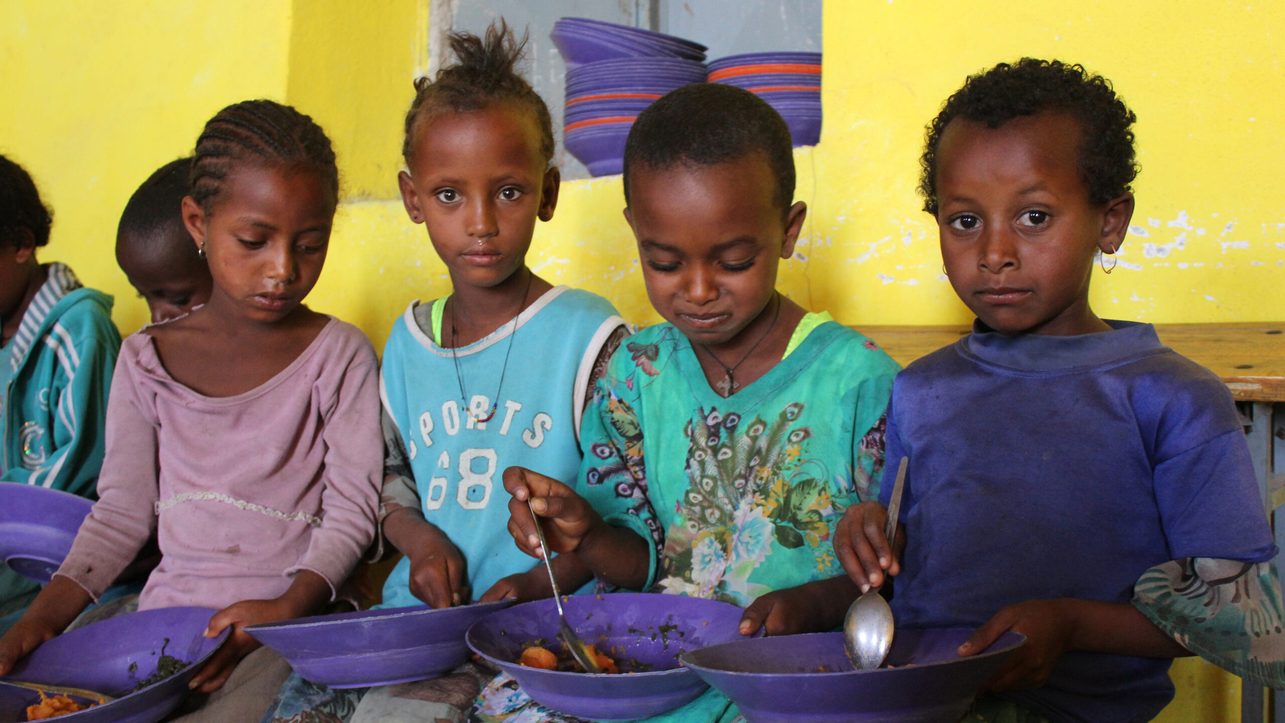 Exploring the promise of regenerative agriculture for school meal programs