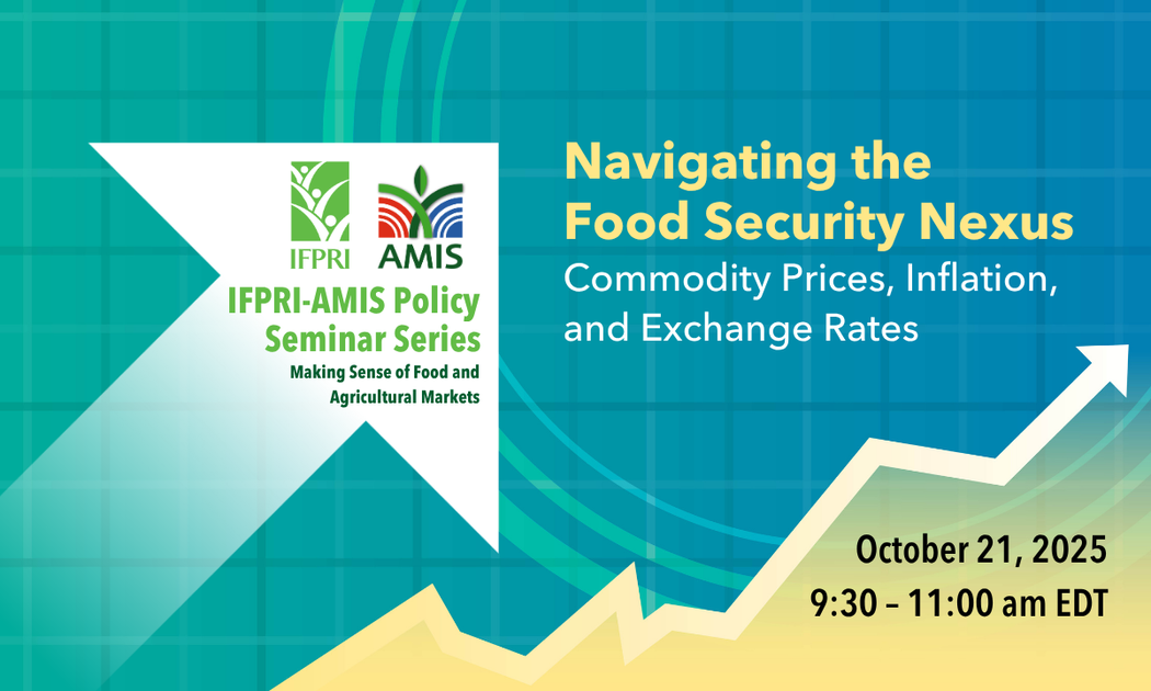 Navigating the Food Security Nexus: Commodity Prices, Inflation, and Exchange Rates