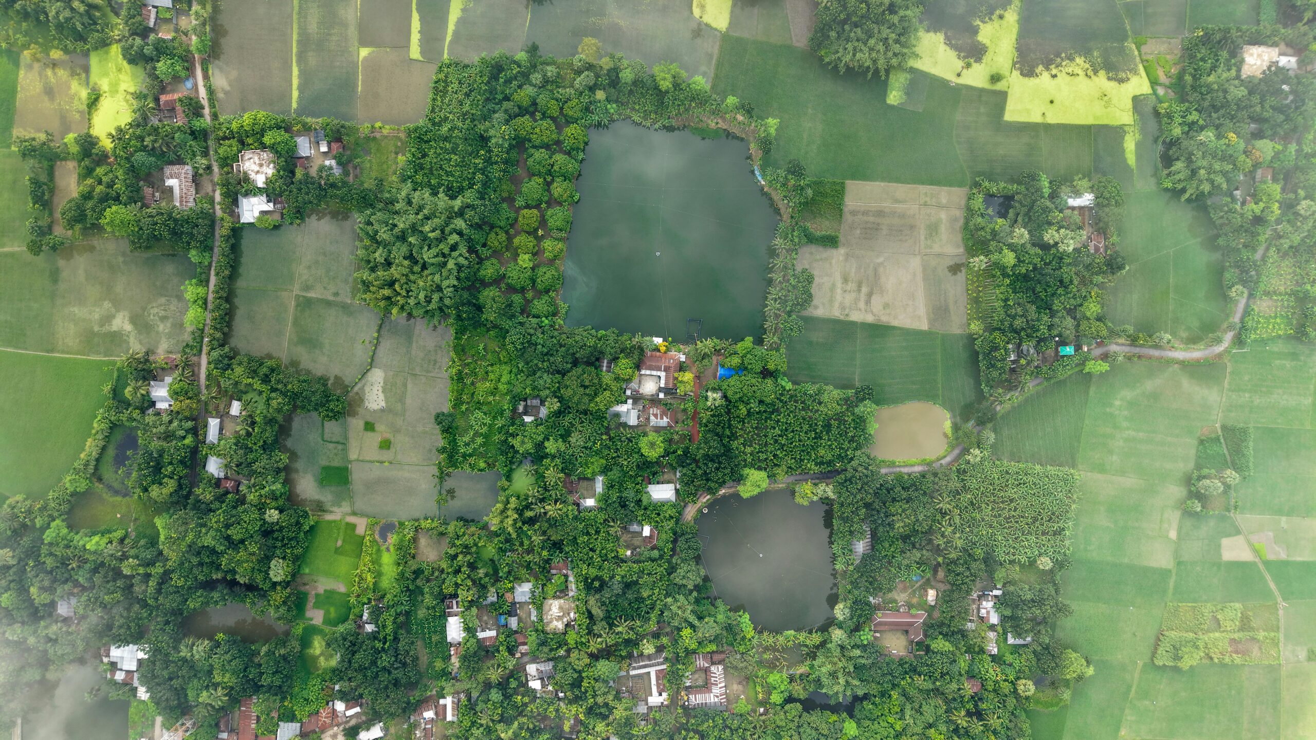 Aerial view of landscape showing agricultural fields, buildings, bodies of water, wooded areas.