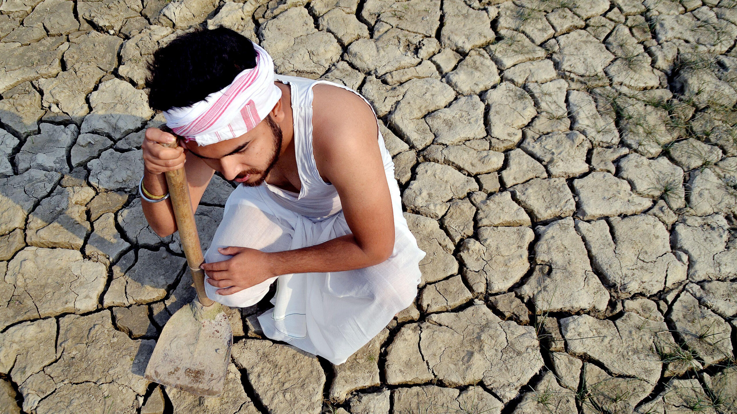 Will extreme weather lead to multiple breadbasket failures and threaten global food security?